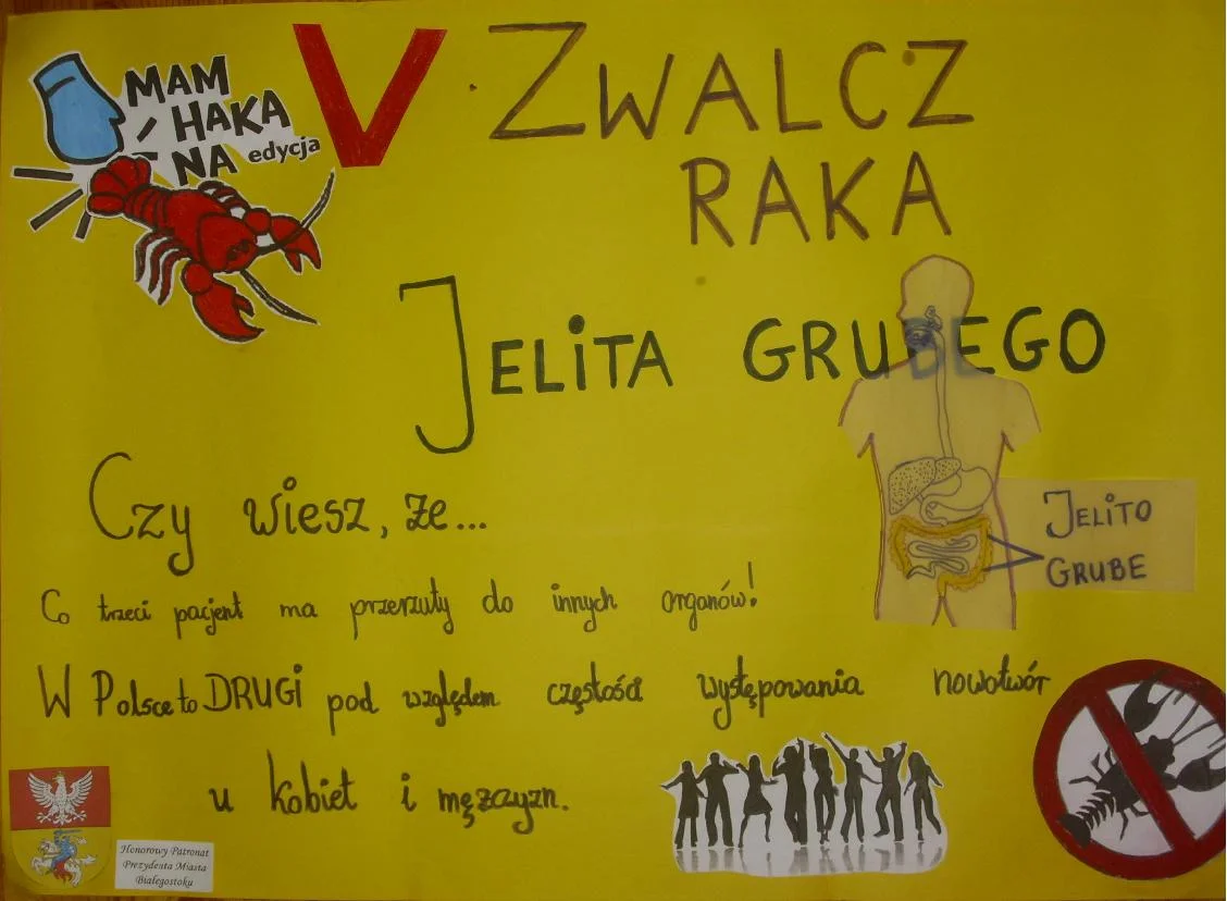 Zdjęcie z galerii